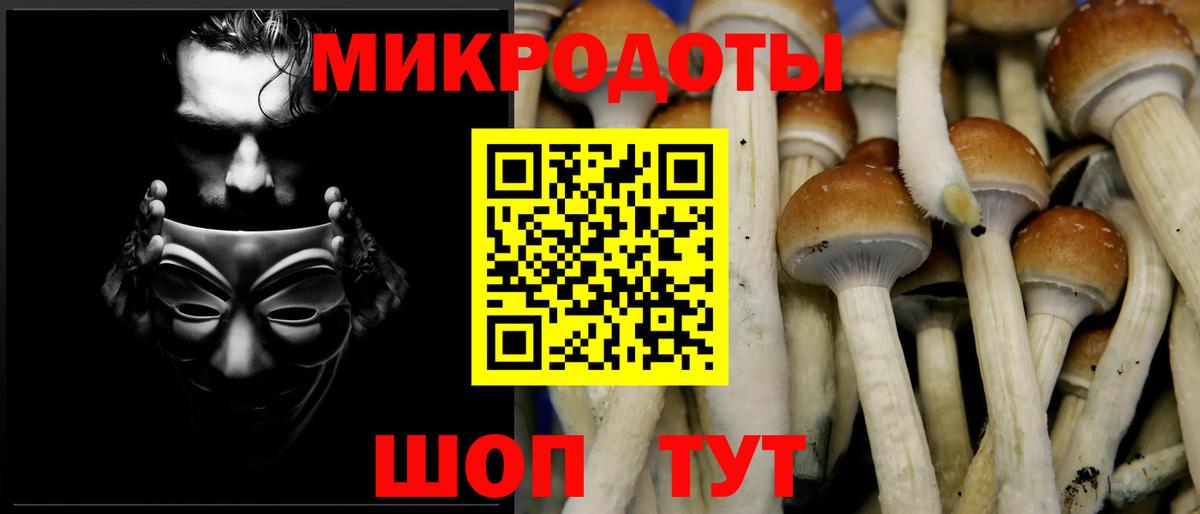 Семёнов  Галлюциногенные грибы мухоморы  Вход с VPN 